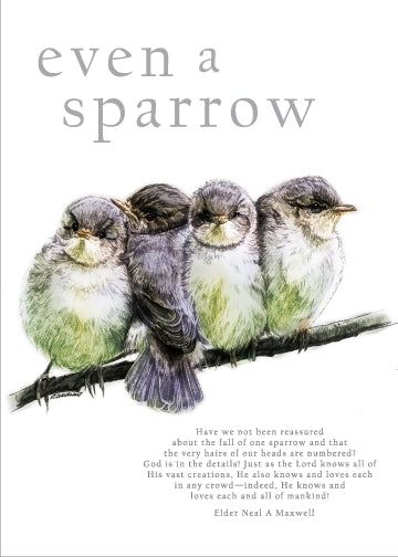Even a Sparrow