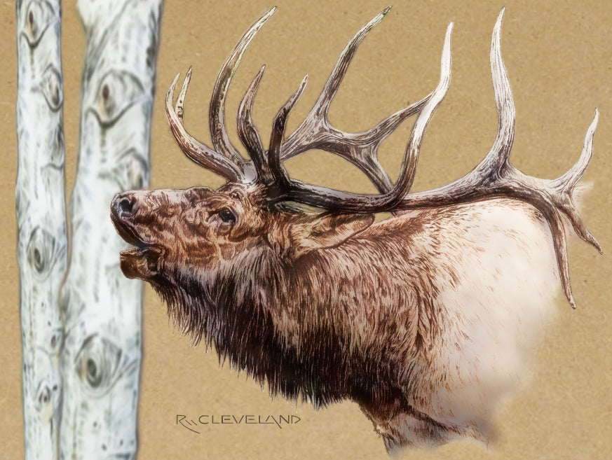 North American Elk
