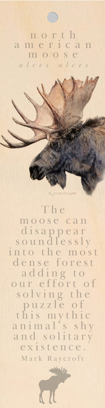 North American Moose