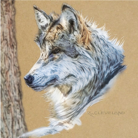 Gray Wolf