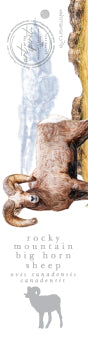 Big Horn Ram