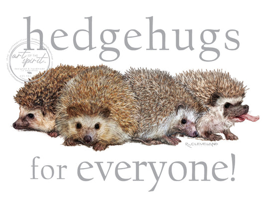 Hedgehogs/ Hedgehugs for Everyone